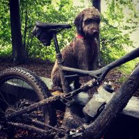 Profile photo for Ian (Buzz) Burrans