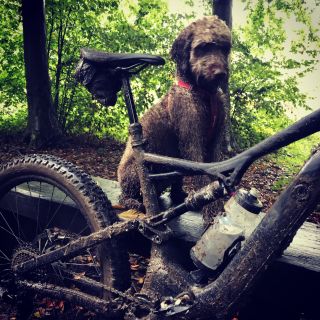 Profile photo for Ian (Buzz) Burrans