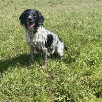 Profile photo for Ian Medlam