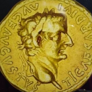 Profile photo for Nick Summerton