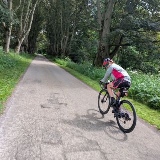 Profile photo for Lynne Aston 