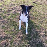 Profile photo for Elaine Norman