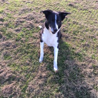 Profile photo for Elaine Norman