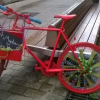 Profile photo for Rachel Pitches