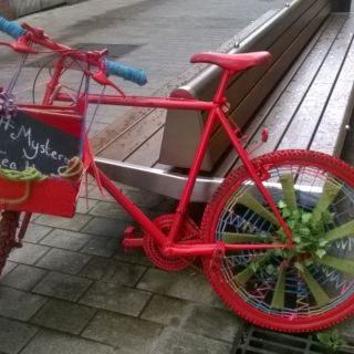 Profile photo for Rachel Pitches