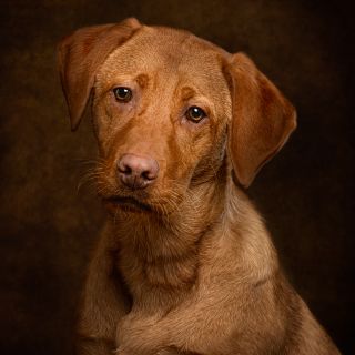 Profile photo for Sophie Creak