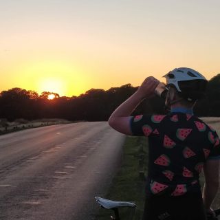 Profile photo for Harry Gibbons