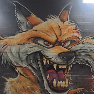 Profile photo for Ian Wiles