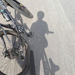 Profile photo for Steph Woods