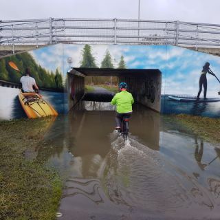 Profile photo for Liz Hawkes