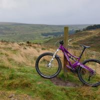 Profile photo for Sarah Sharps