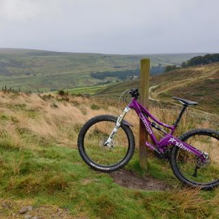 Profile photo for Sarah Sharps