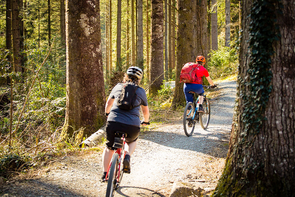 Bicycle route shop