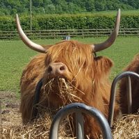 Profile photo for . .