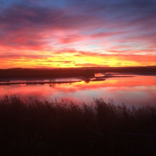 Profile photo for Sarah Hughes