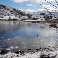 Profile photo for Coralie Niven