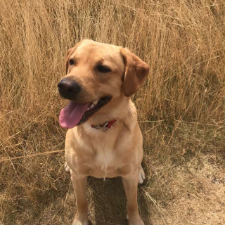 Profile photo for Michelle Porter