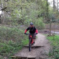 Profile photo for Elaine Lainie