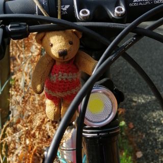 Profile photo for John Courtney