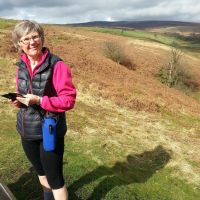 Profile photo for Sue Warwick