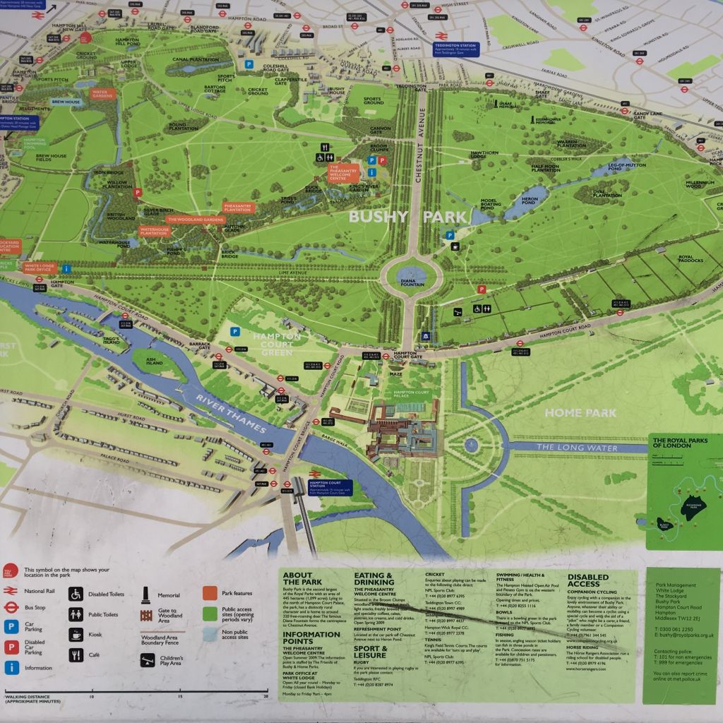 Bushy Park Cycling Map Let's Ride - Syon Park To G!Ro Cycles, Esher