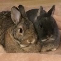 Profile photo for Jon Haywood