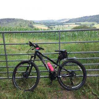 Profile photo for Dean Anderson