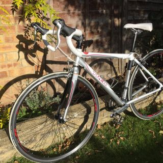 Profile photo for Karen King