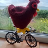 Profile photo for Claire  Stephenson-Sayers