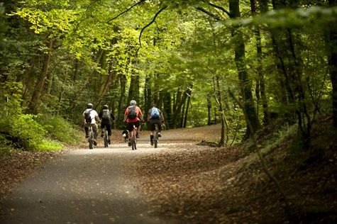 Plym Valley NT 3 (High Res)