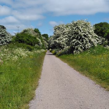 Photo for  Cycling A B C's. 