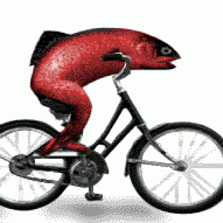 Profile photo for Kevin Place