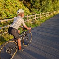 Profile photo for Lauren  Piercy 