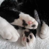 Profile photo for Lucy Downward