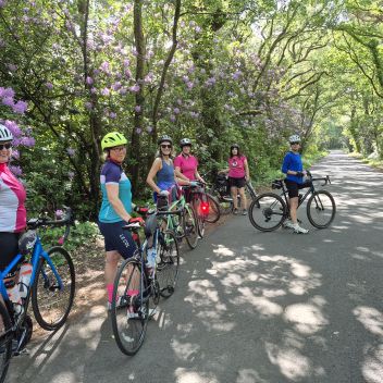 Photo for Breeze rides Dorchester and Weymouth