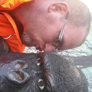 Profile photo for Richard Knox