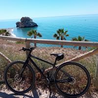 Profile photo for Linda T.