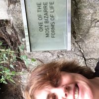 Profile photo for Mary Wells