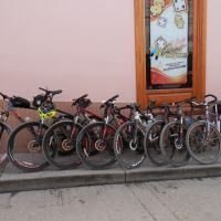 Profile photo for Pam McEwen