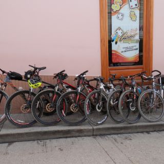 Profile photo for Pam McEwen