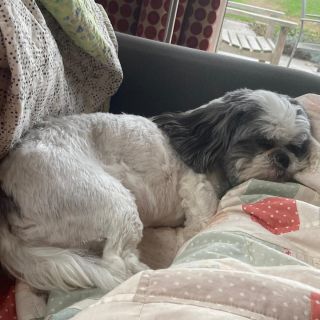 Profile photo for Caron Williams 