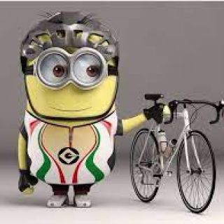 Profile photo for Allison Sparshott