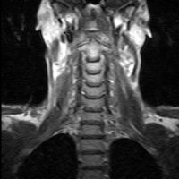 Profile photo for Stephen Renshaw