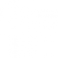 Profile photo for Dante B