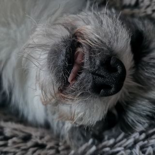 Profile photo for Jenny Nisbett