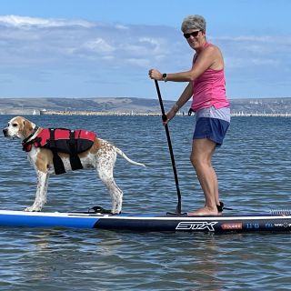 Profile photo for Julie King