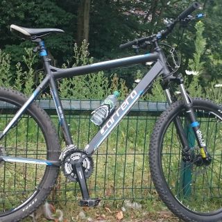 Profile photo for David Skidmore