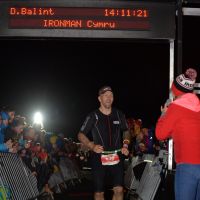 Profile photo for David Balint