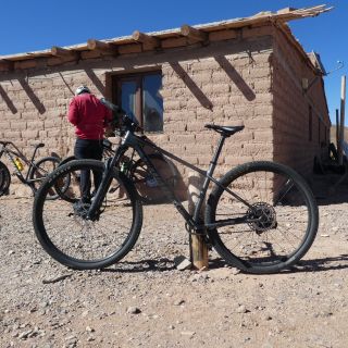 Profile photo for Sharon  Spooner