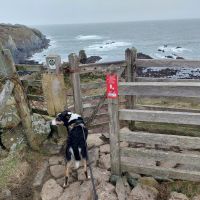 Profile photo for Louise  Griffiths 